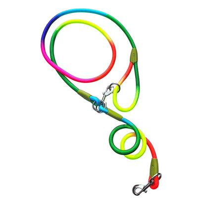 Reflective Nylon Dog Leashes