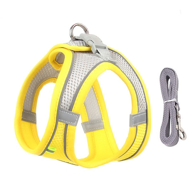 Harness Leash Set for Small Dogs