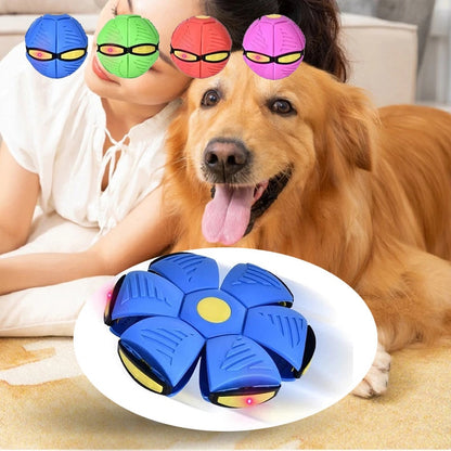 Pets Magic UFO Ball