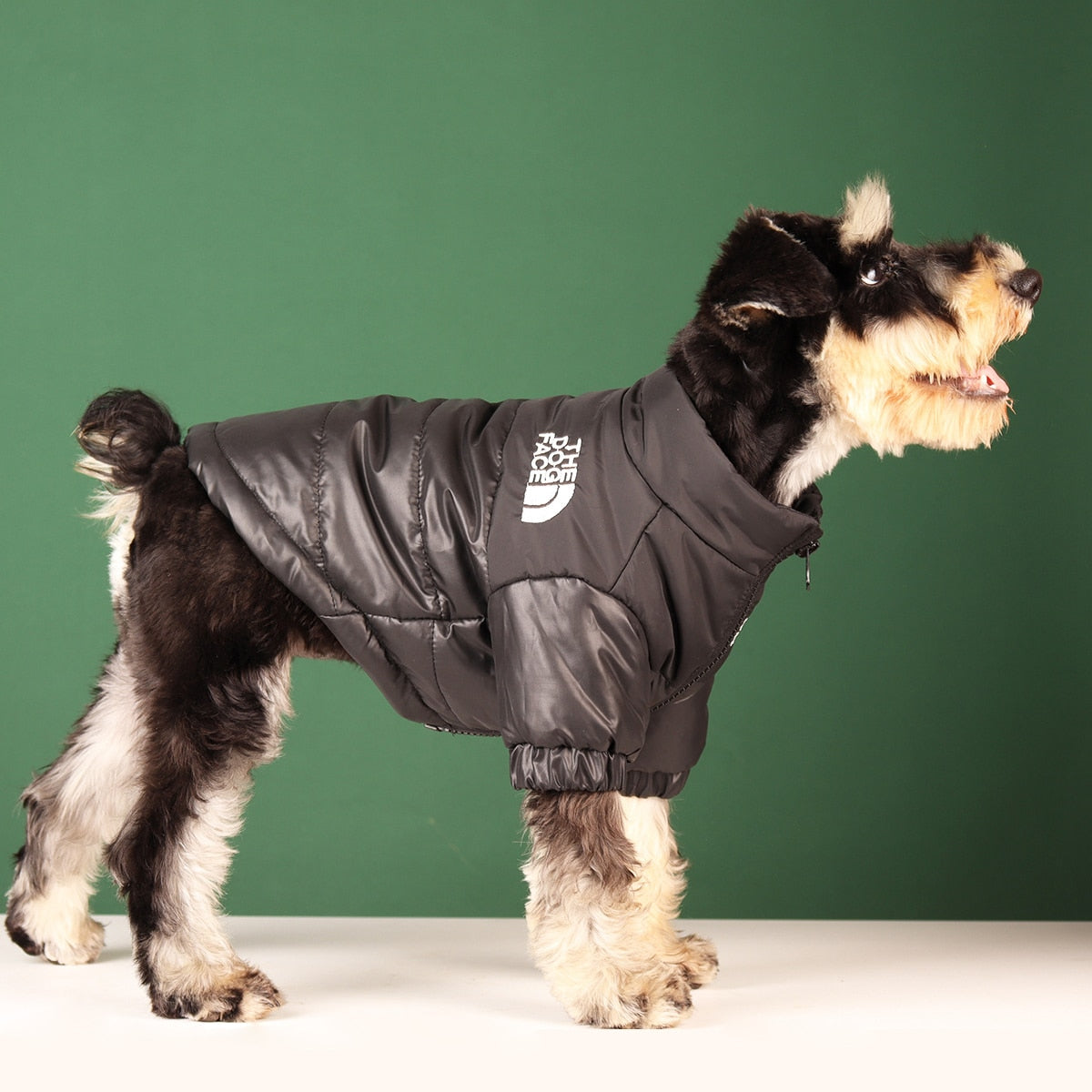 Windproof Jacket for Dogs